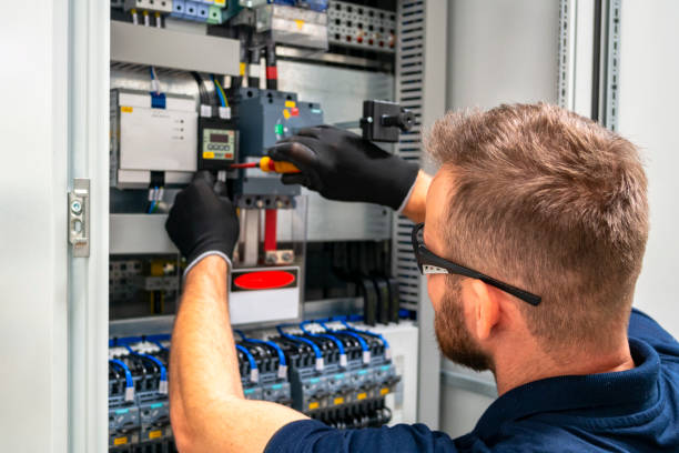 Best 24-Hour Electrician  in Penitas, TX