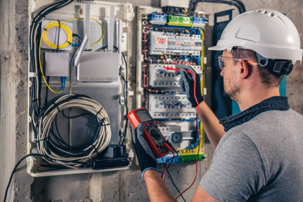Best Electrical System Inspection  in Penitas, TX