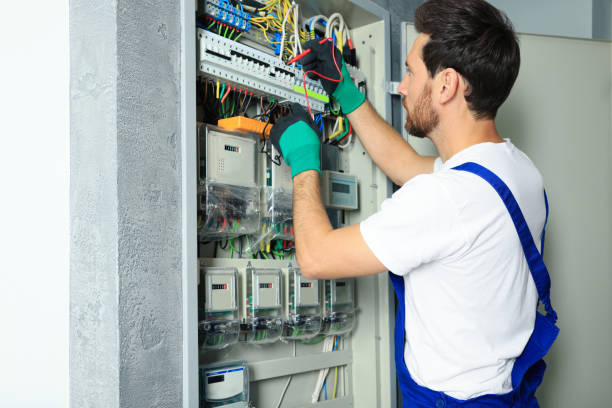 Best Local Electrician Companies  in Penitas, TX