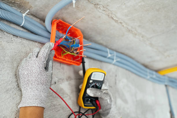 Best Licensed Electrician  in Penitas, TX